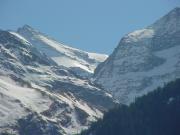 Jungfrau_05_Schreckhorn.JPG