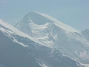BLS_35_Rinderhorn.jpg