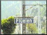 Gotthard_2_35.jpg