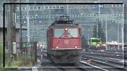 11431-3.jpg