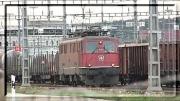 11446-3.jpg
