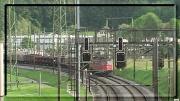 11456-3.jpg