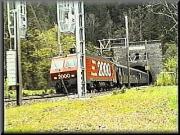 BLS_2_46.jpg