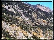 BLS_3_41.jpg
