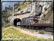 BLS_3_50.jpg