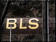 BLS_3_88.jpg