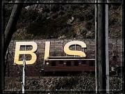 BLS_3_89.jpg