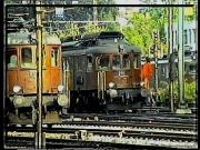 BLS_5_19.jpg