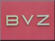 BVZ_10.jpg
