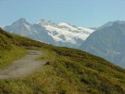 Sokrates_Mnnlichen_2003_43.JPG