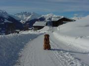 2004_Montafon_44.JPG