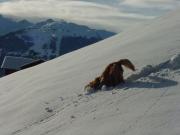 2008_Montafon_42.JPG