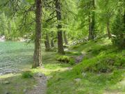2003_Preda-Albula_14.jpg