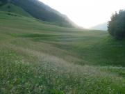 2007_Latsch_17.JPG