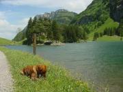 2002_Seealpsee_23.JPG