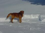 2004_St.Anton_in_Appenzell_31.JPG