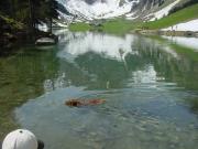 2006_Seealpsee_12.JPG