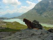 2004_Berninapass_19.JPG