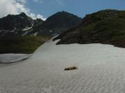 2008_Bernina-Morteratsch_11.JPG