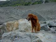 2008_Bernina-Morteratsch_33.JPG