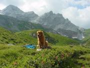 2004_Lnersee.Cavelljoch_12.jpg