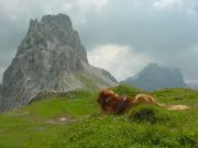 2004_Lnersee.Cavelljoch_20.jpg